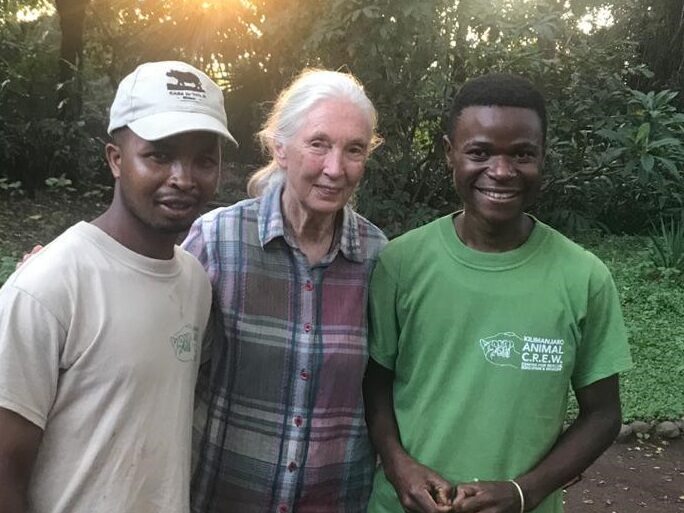 Dr Jane Goodall partners with Kilimanjaro Animal C.R.E.W. 2020