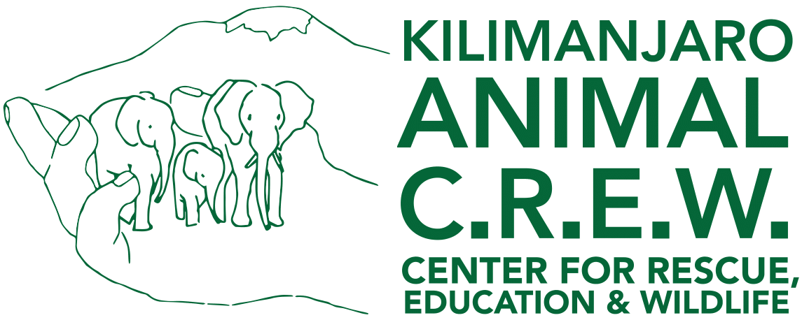 Kilimanjaro Animal Center